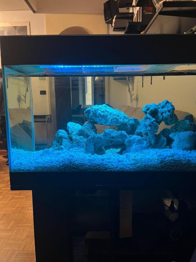 Red Sun Acquarium Διαμέρισμα Μπολόνια Εξωτερικό φωτογραφία
